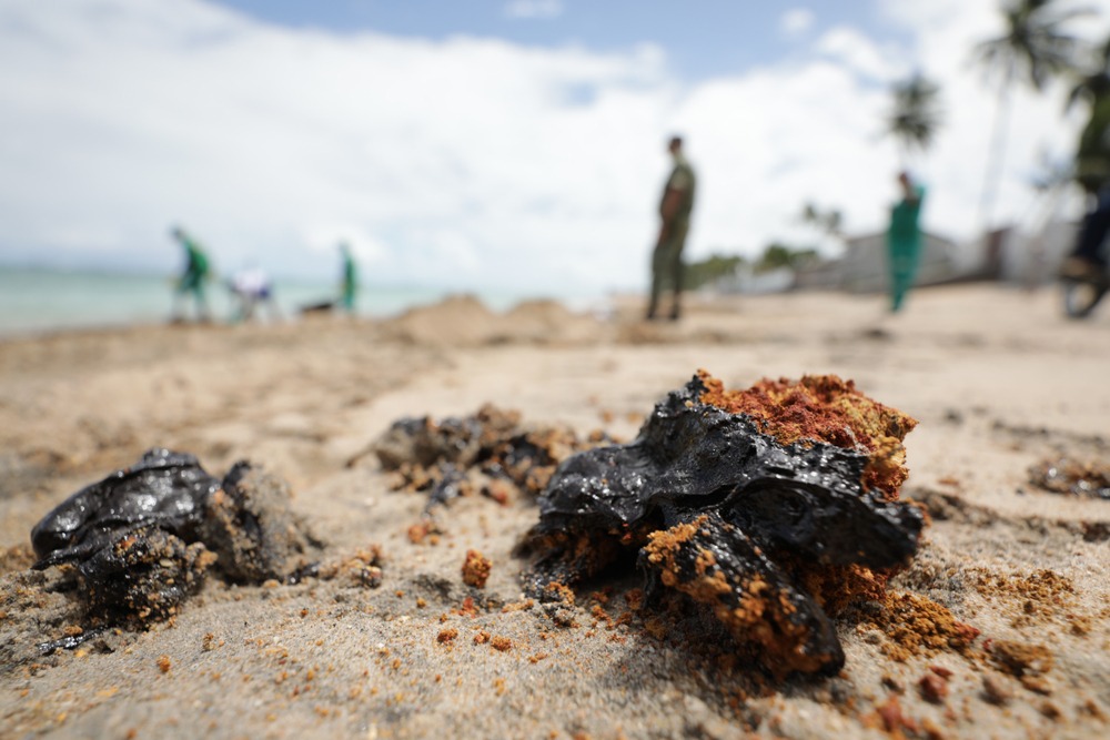 Marca Ambiental envia doações de EPI’s a praias atingidas por óleo