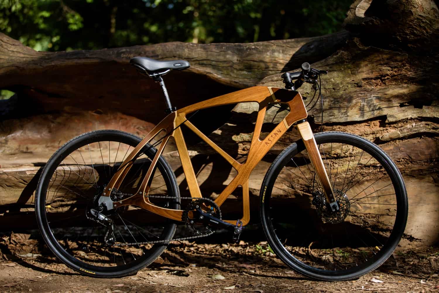 Bike de madeira chama atenção à causa sustentável
