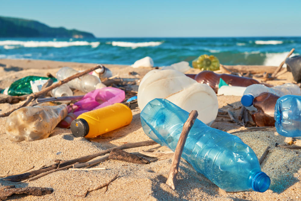 Descarte de resíduo nas praias: 3 motivos para conter esse problema agora