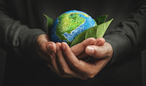 Conheça 4 mitos e verdades sobre o ESG