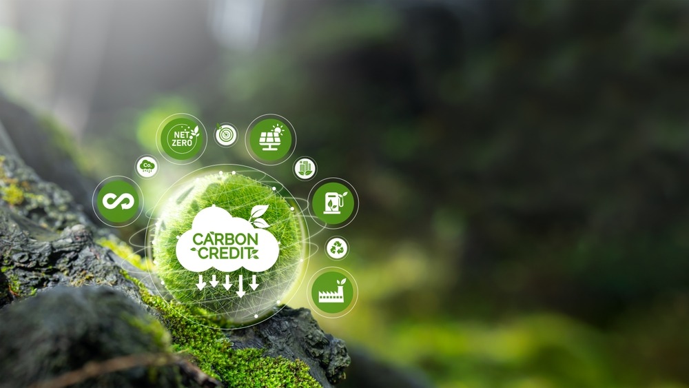 Redução da pegada de carbono e a preservação do meio ambiente: qual a relação?