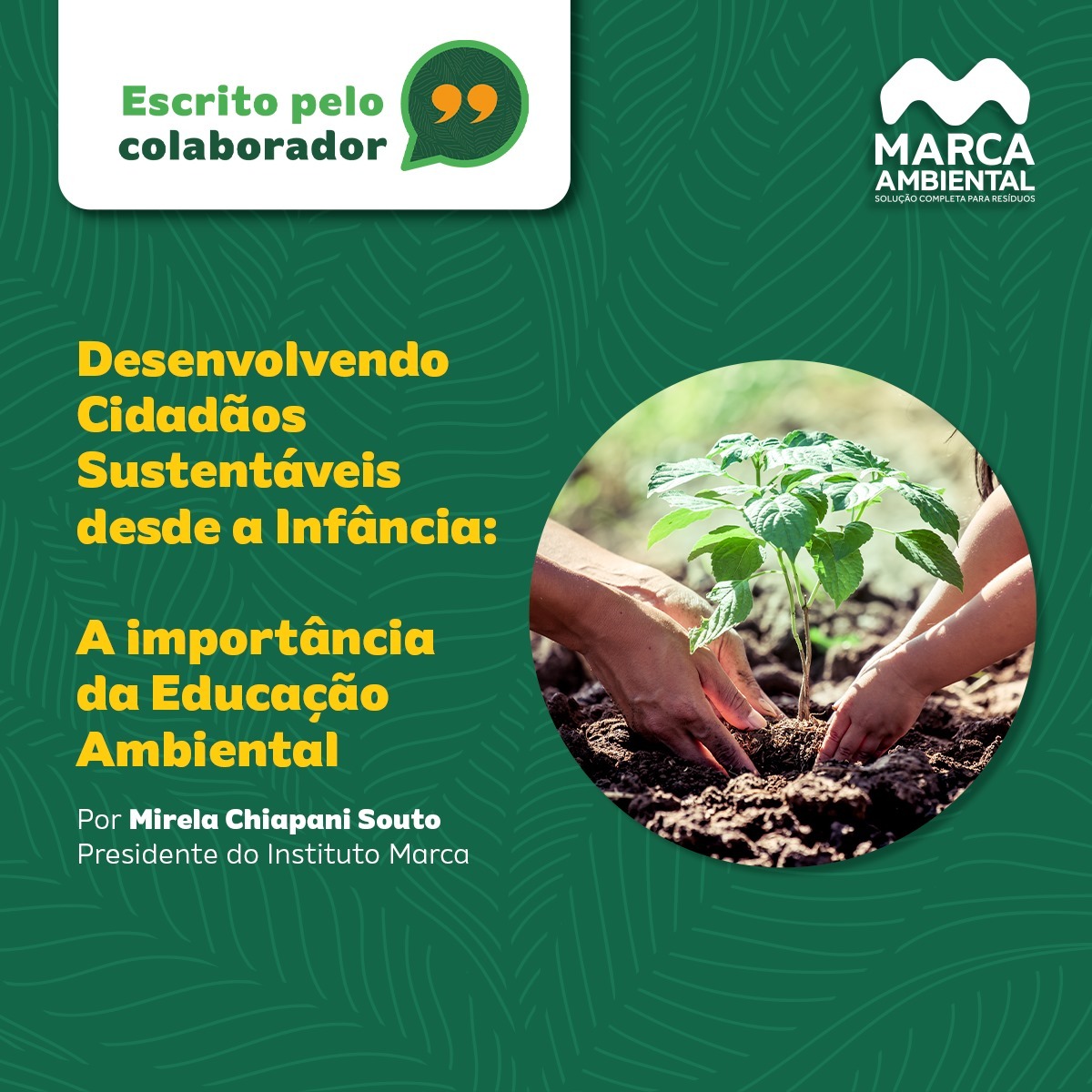 Desenvolvendo Cidadãos Sustentáveis desde a Infância: A importância da Educação Ambiental.