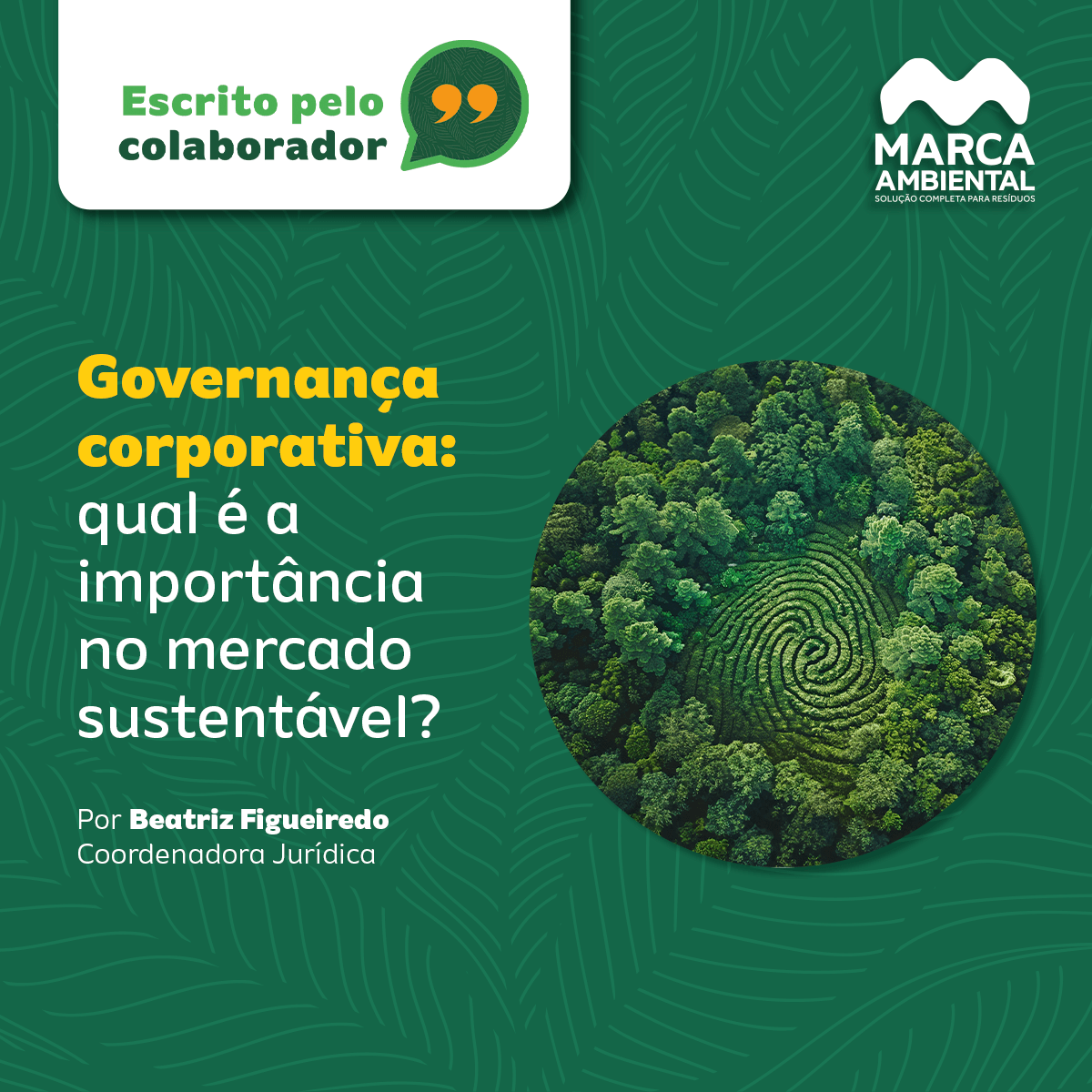 Governança corporativa: qual é a importância no mercado sustentável?